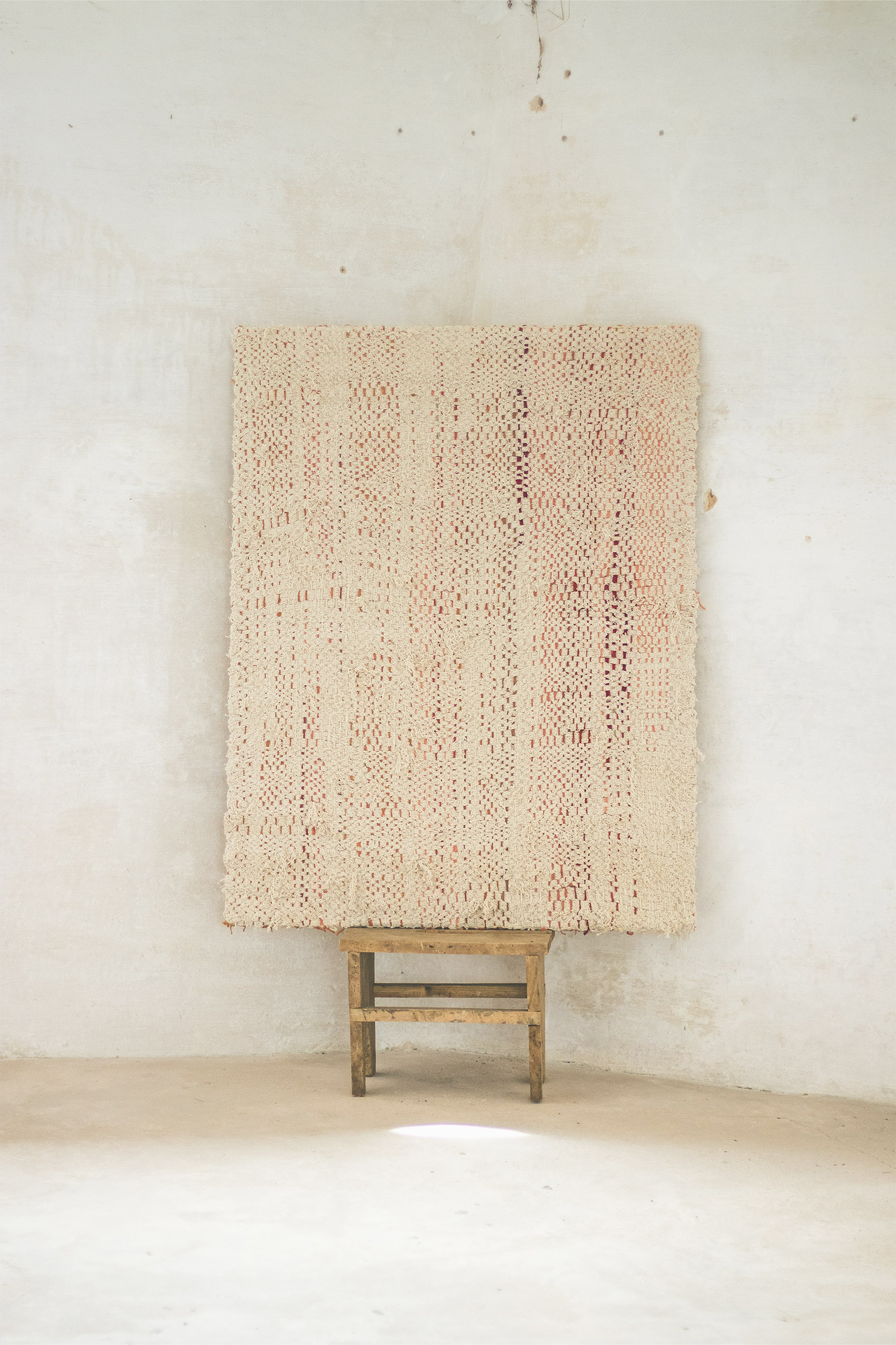 Andreasender_0006_8.ANDREA SENDER STUDIO_BUG_02